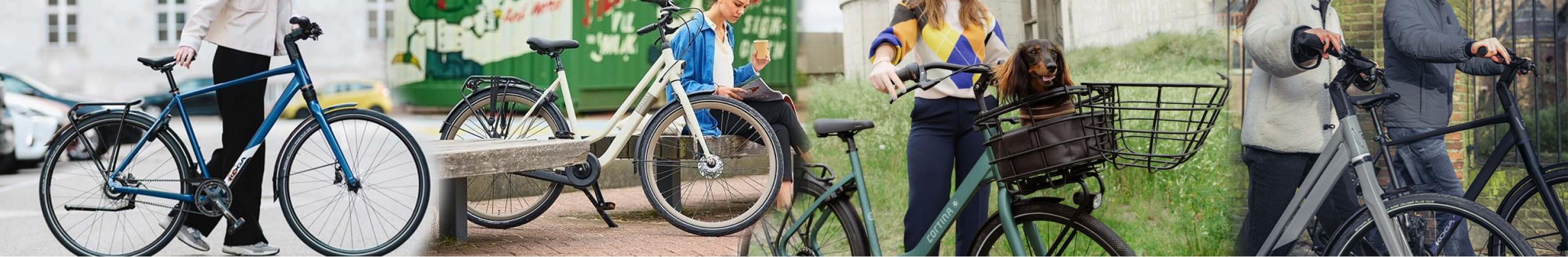 /image/data/Renzo stuff/stadsfietsen banner.jpg